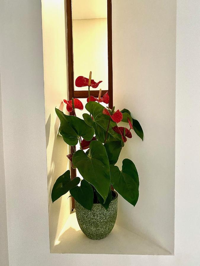 Douro B&B Avenida 雷森迪 外观 照片